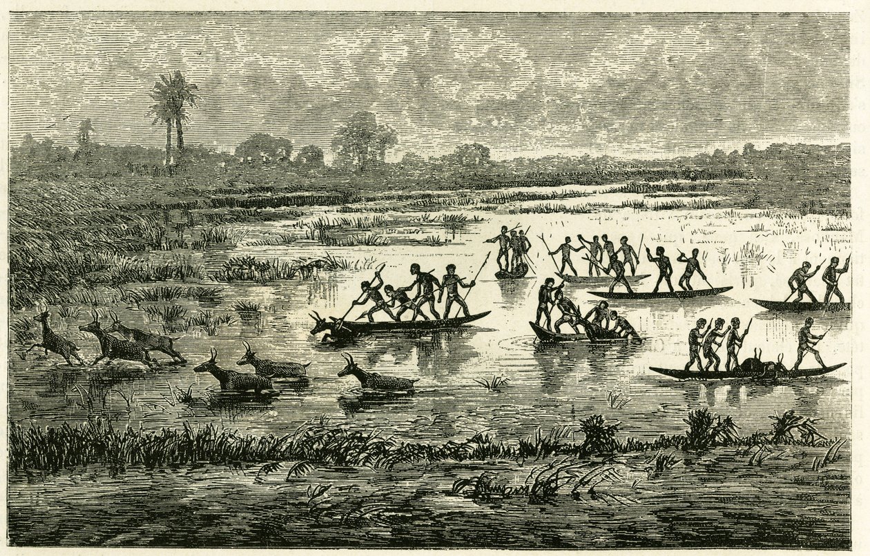 Antelope hunting, annual hunting during migration, antelopes slowed down in the river water are slaughtered by Marutse warriors, who pursue them in balance on canoes. Engraving to illustrate the story Au pays des Marutses, in 1875-1879, by Dr. Emile Holub by Unknown artist