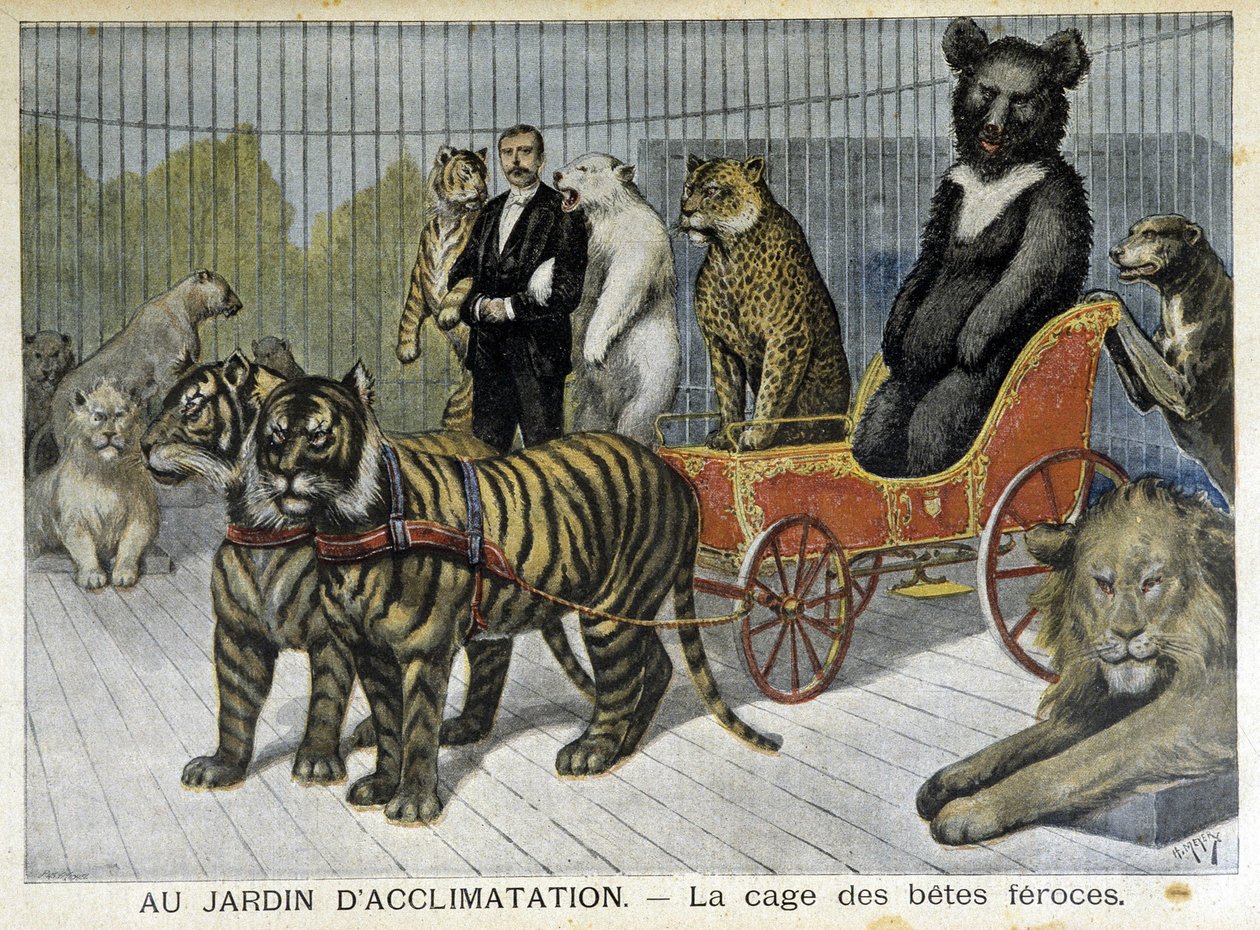 At the acclimatization garden: the cage of ferocious beasts - in “Le Petit Journal” of 02/06/1895 by Unknown artist
