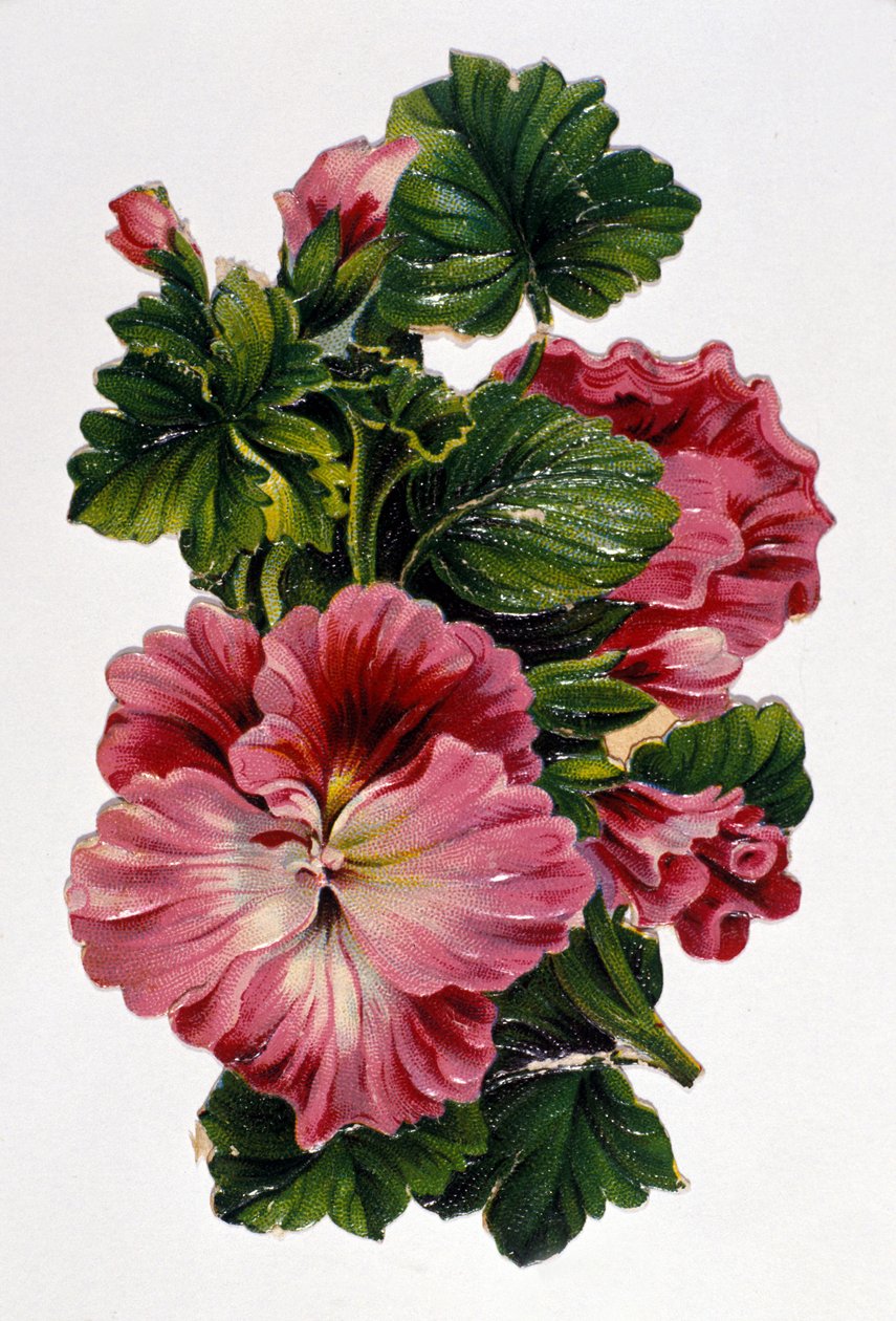 Bouquet of flowers. 19th century chromolithography. by Unknown artist
