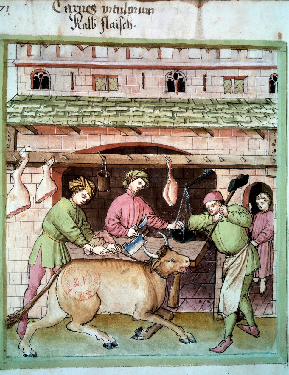 Butchery: slaughter of an ox. Illumination from the milking of medicine and dietetics 