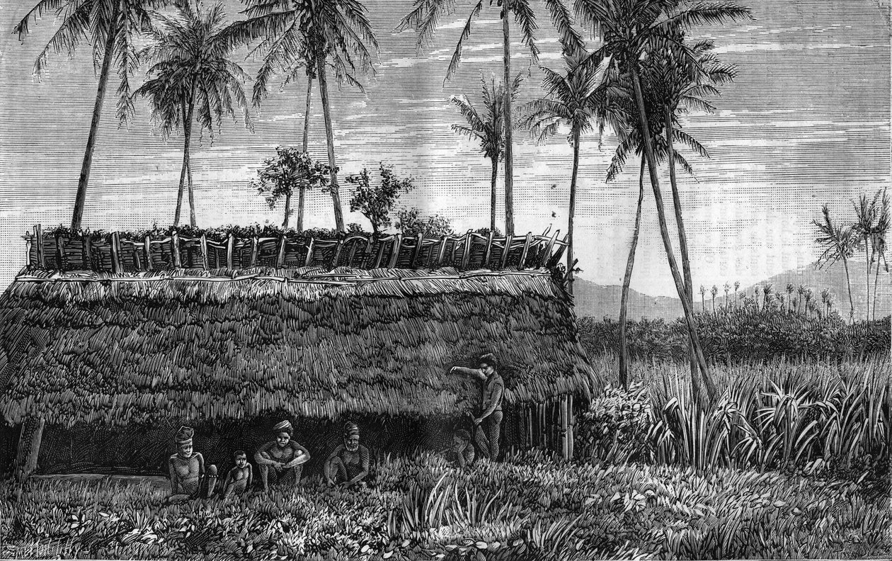 Canaques of New Caledonia in front of a box or a meeting house by Unknown artist
