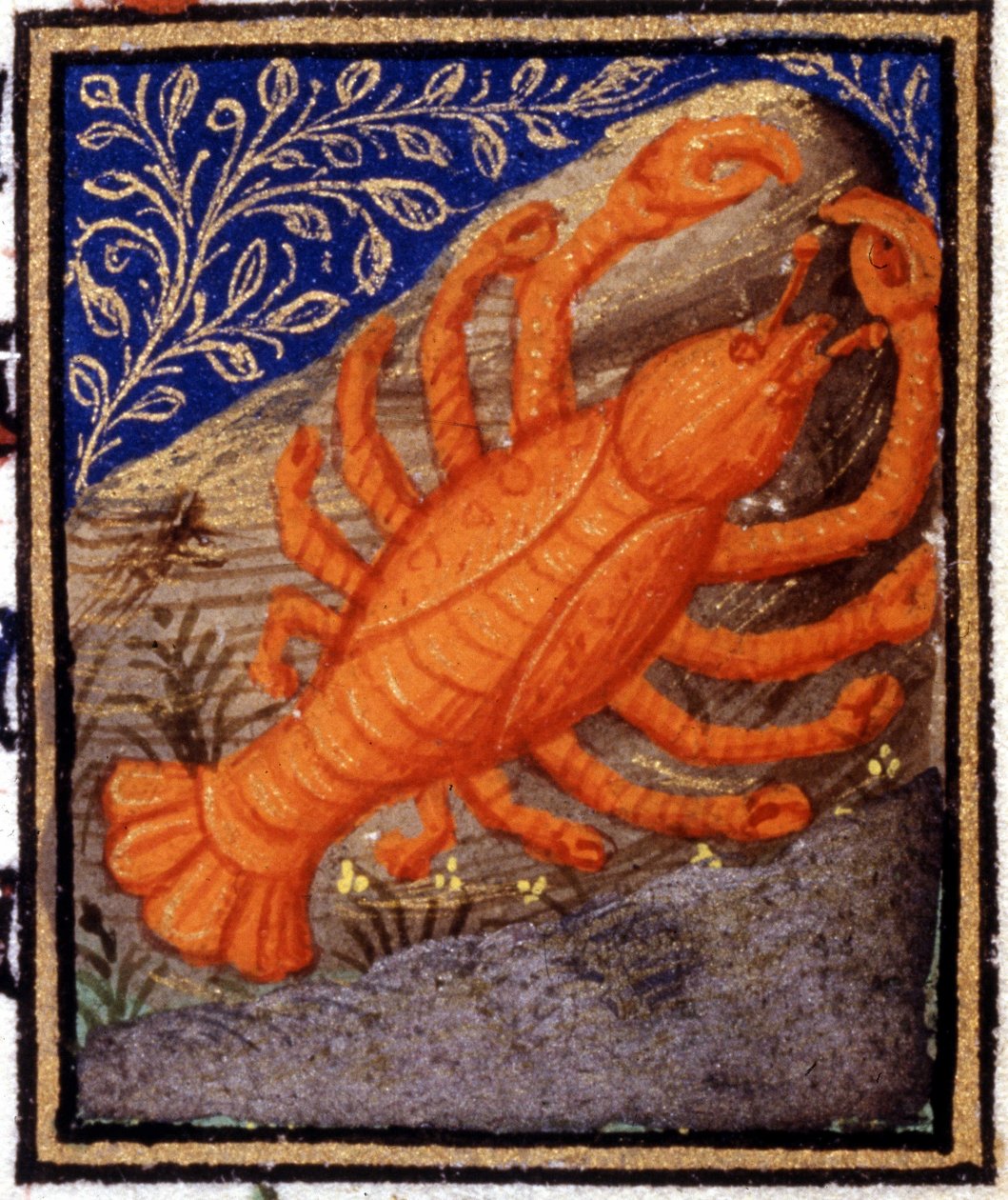 Cancer. Miniature of a horoscope. 15th century manuscript. Bibl. Trivulziana, Milan by Unknown artist