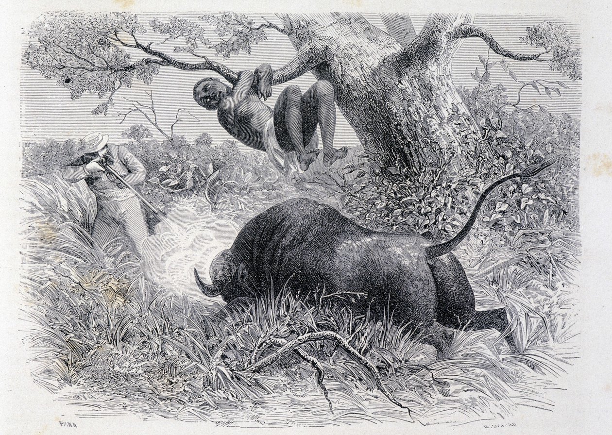 Captain Speke hunting buffalo - in "Tour du Monde" by Unknown artist