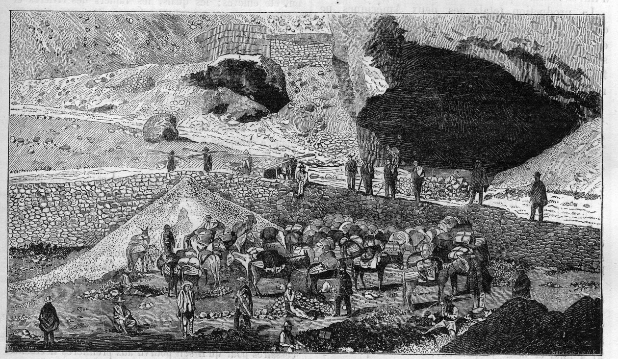 Cerro de Pasco silver mine in Peru: transport of ore on the back of mules. Engraving in 