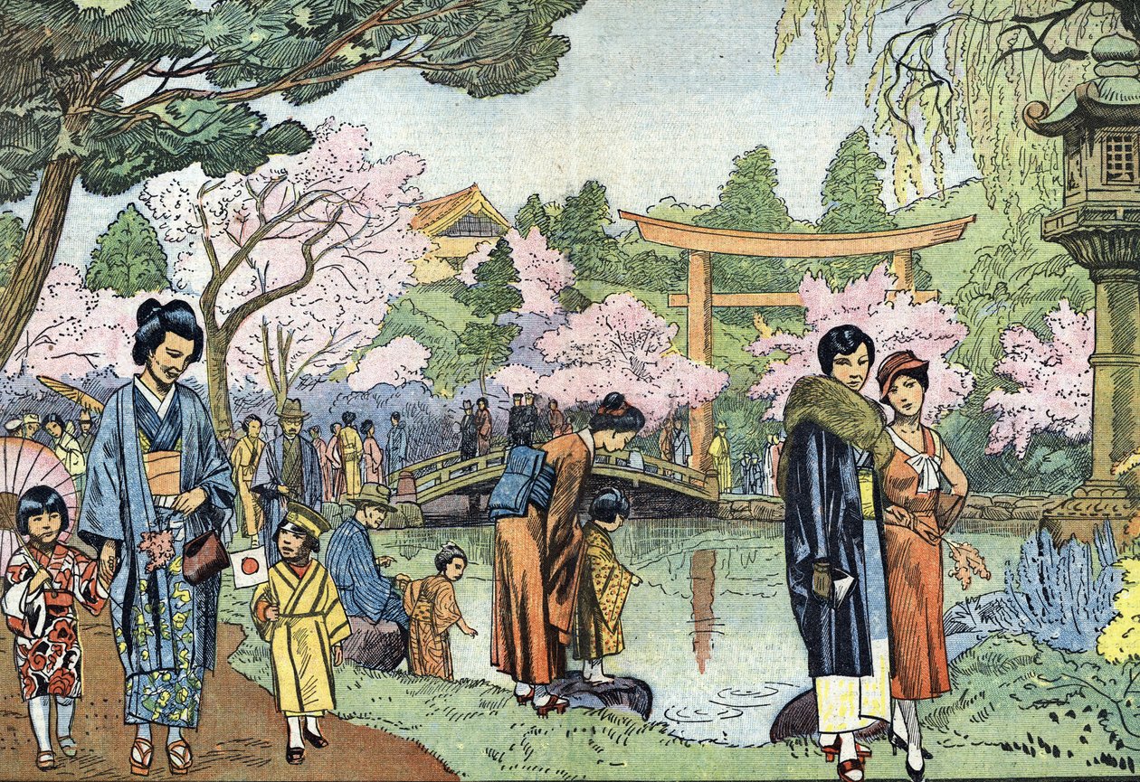 Cherry Blossoms in Spring, Japan, Illustration from 