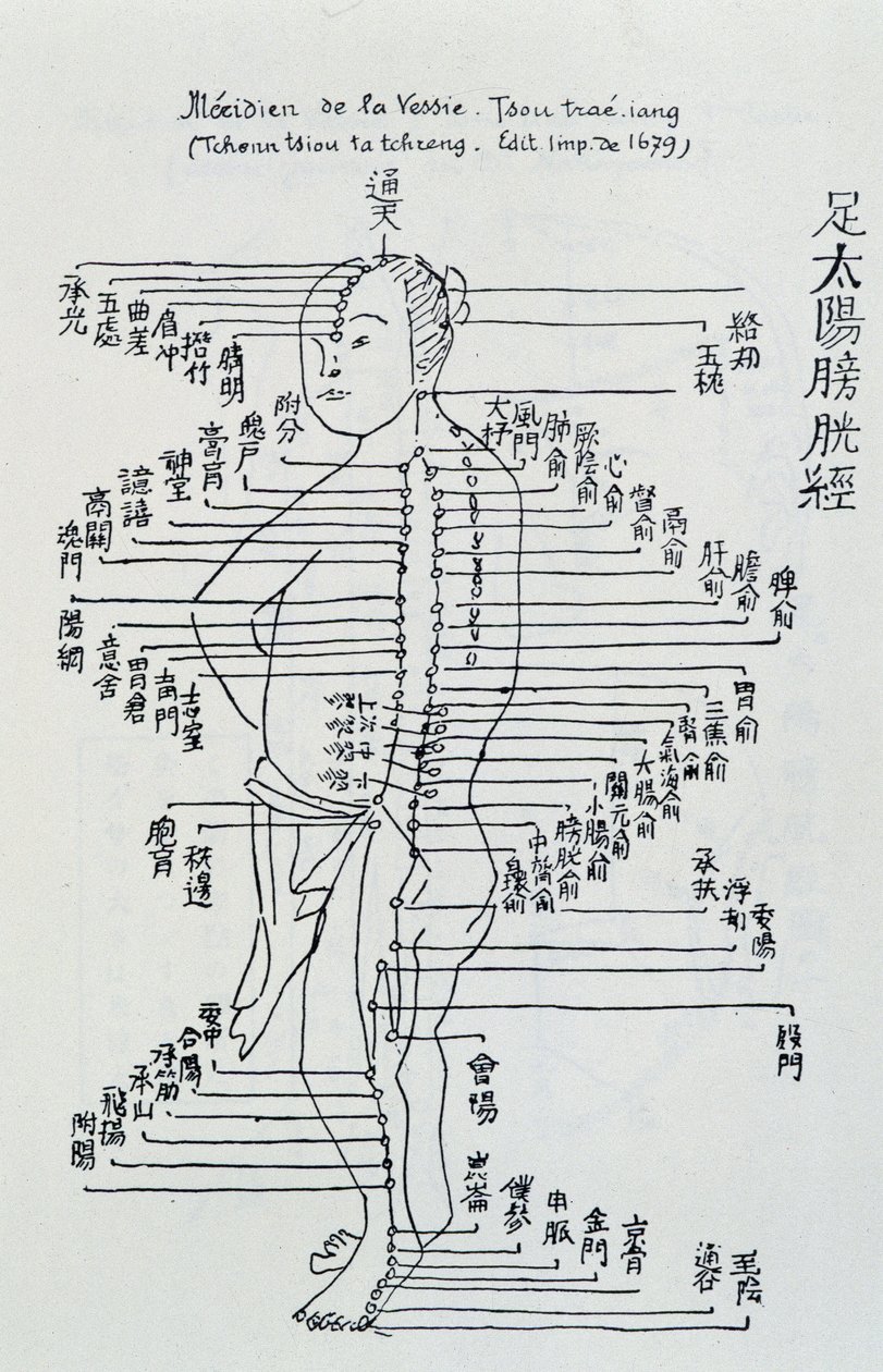Chinese acupuncture: the meridian of the bladder by Unknown artist