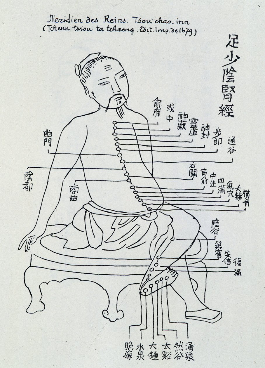 Chinese acupuncture: the meridian of the kidneys by Unknown artist