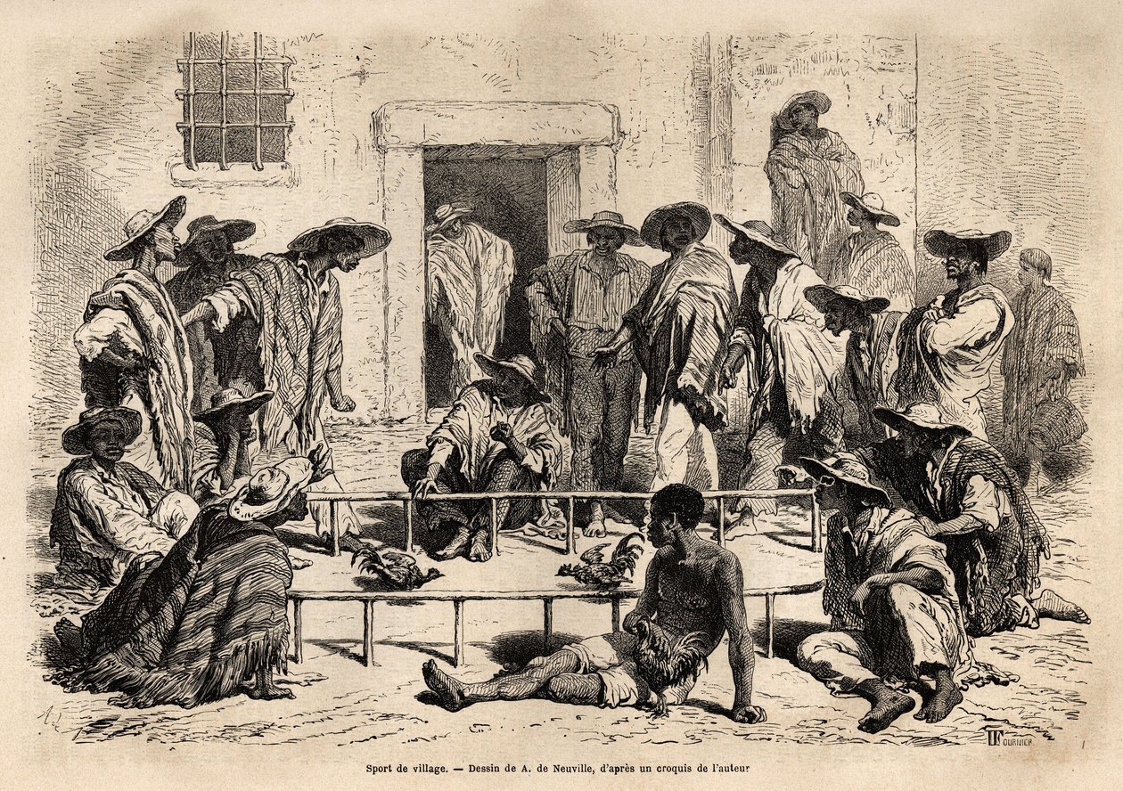 Cockfighting in the village of Marinilla, Colombia by Unknown artist