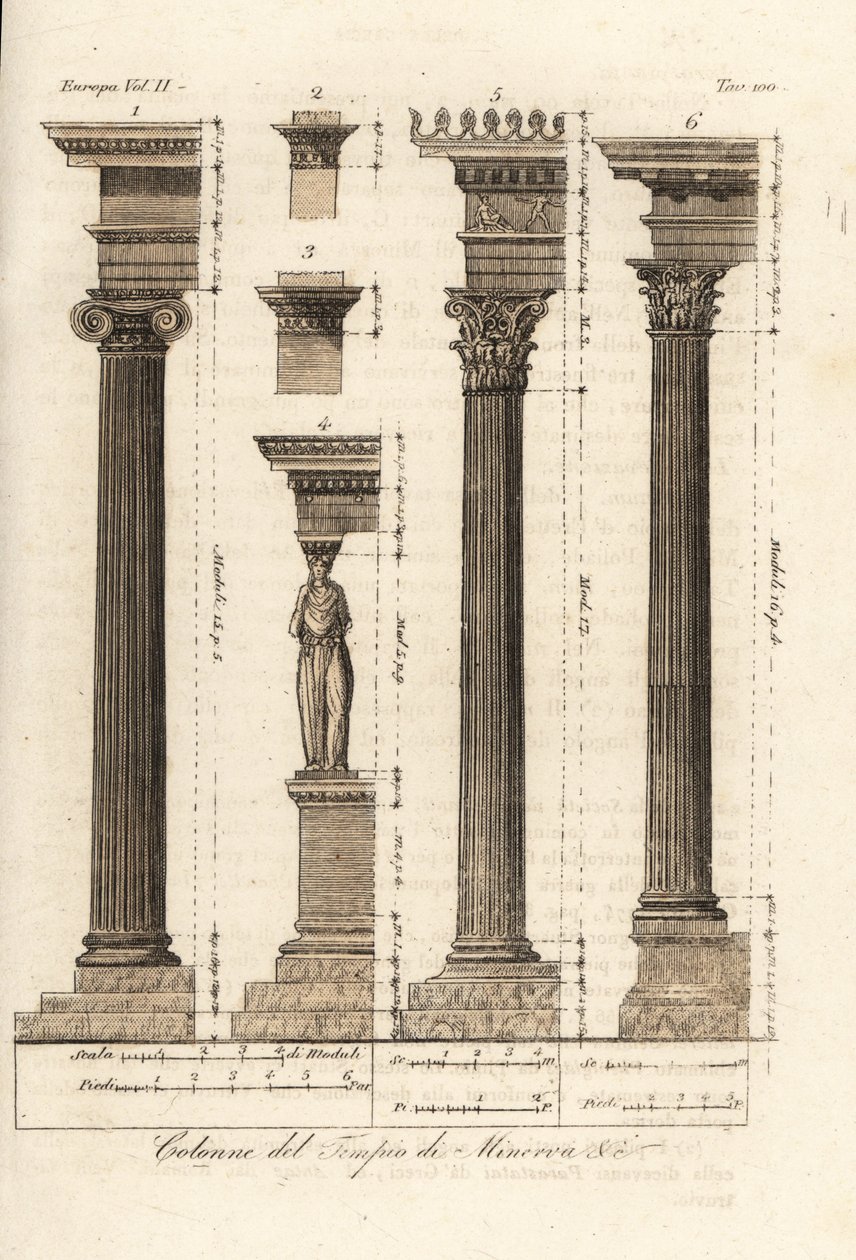 Columns from the Temple of Minerva, Athens by Unknown artist