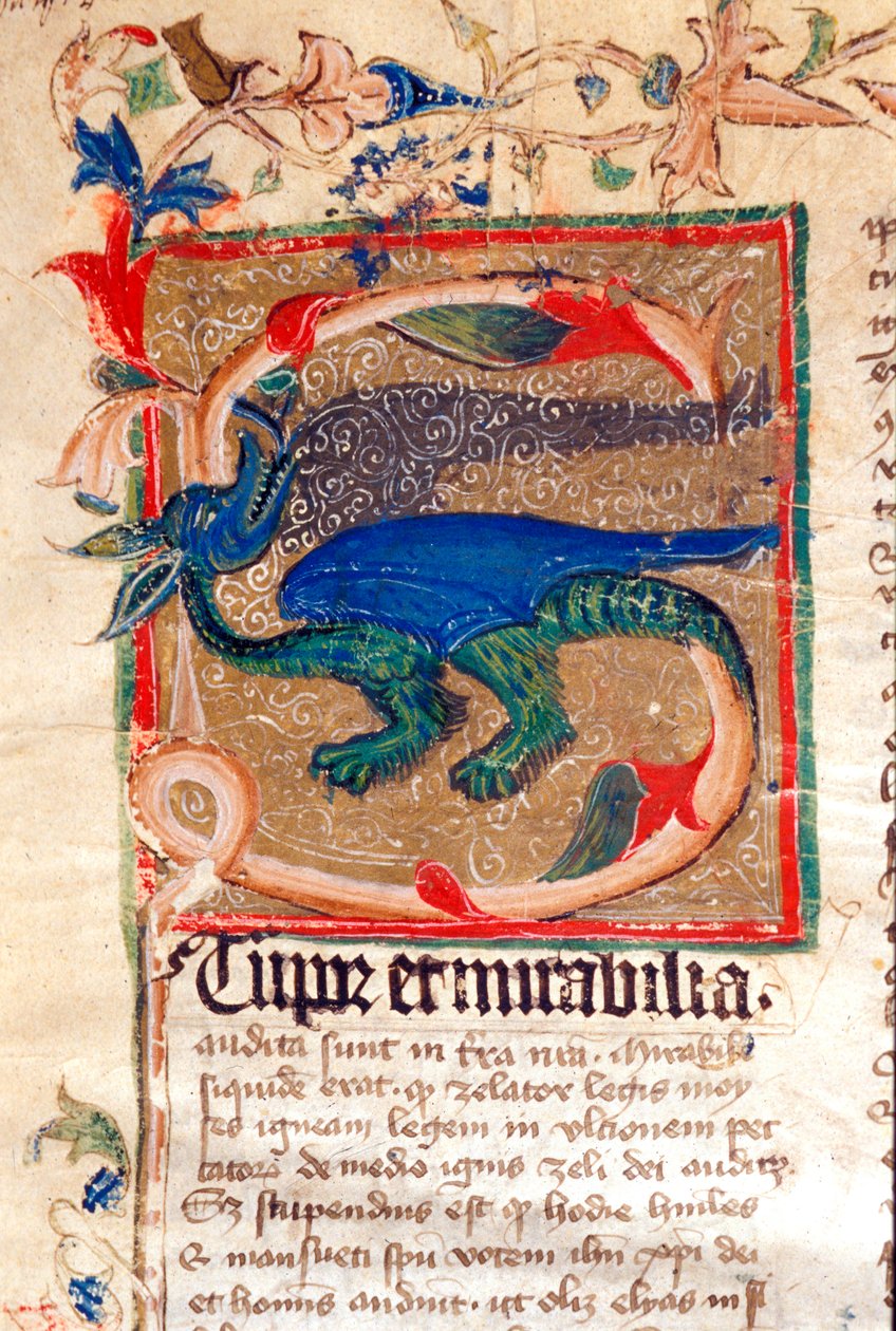 Dragon Decoree Lettrine (detail) by Unknown artist