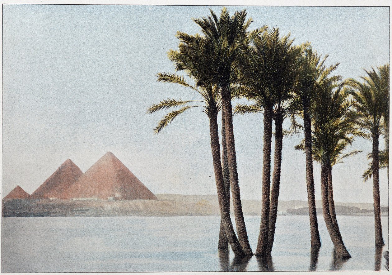 Egypt: the flood Nile and the pyramids of Giza by Unknown artist