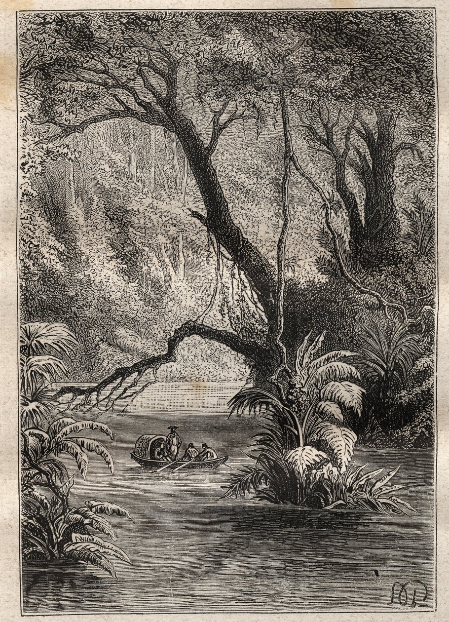 Expedition to America (1799-1804) by Alexander von Humboldt (1769-1859) and Aime Bonpland (1773-1858): the explorers descend the Orenoque, surrounded by the gigantic trees of the Amazon forest (Cano Pimichin, Venezuela) - illustration taken from 