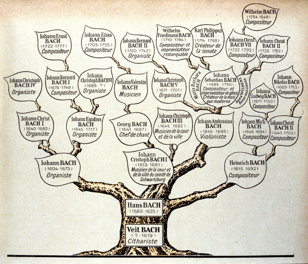 Family tree of the Bach family by Unknown artist