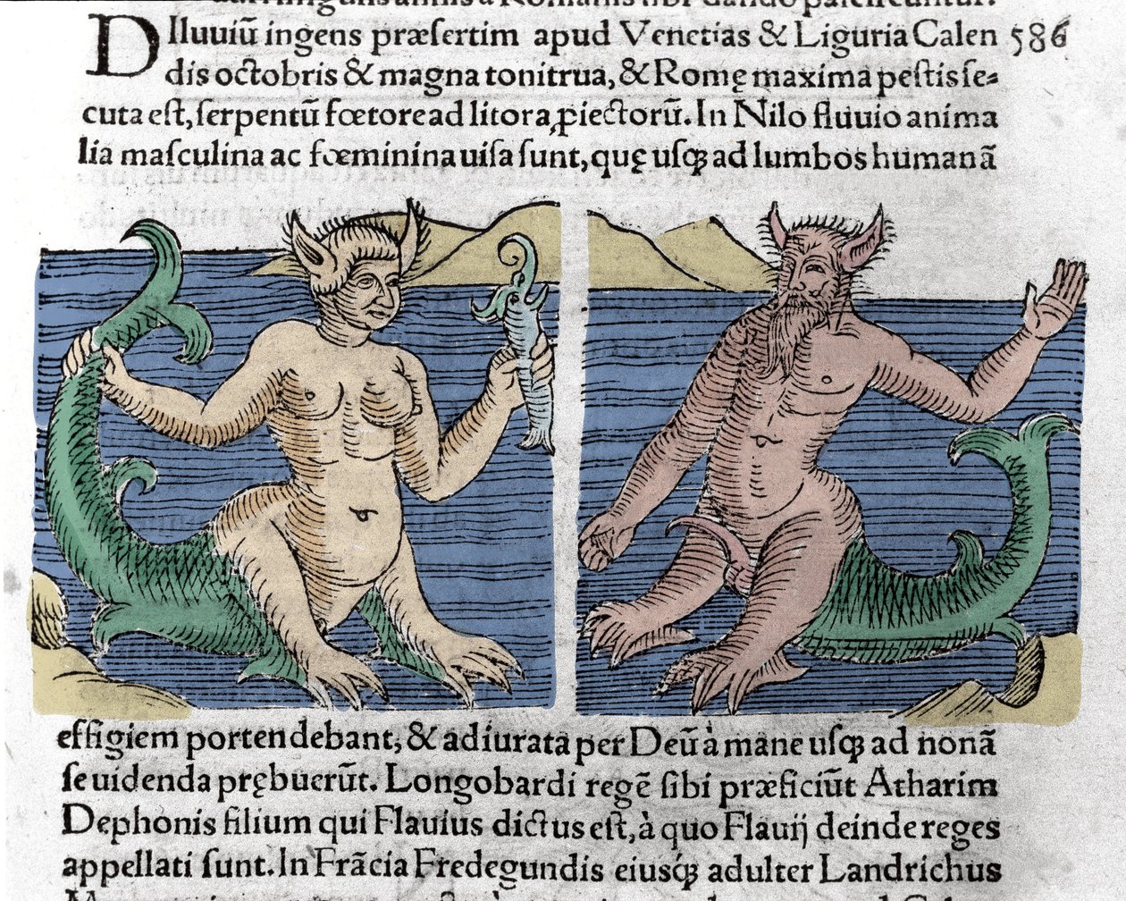 Fantastic creatures: A newt and a siren seen in the Nile. Engraving from Le livre des prodiges (Prodigiorum ac ostentorum Chronicon Basileae) by Wolfhart (Conrad Lycosthene) 1557 by Unknown artist