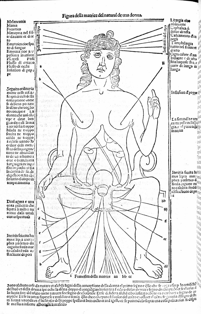 Female reproductive apparatus - in Treatise of Medicine by Gerolamo Cardano, Florence 1585 by Unknown artist