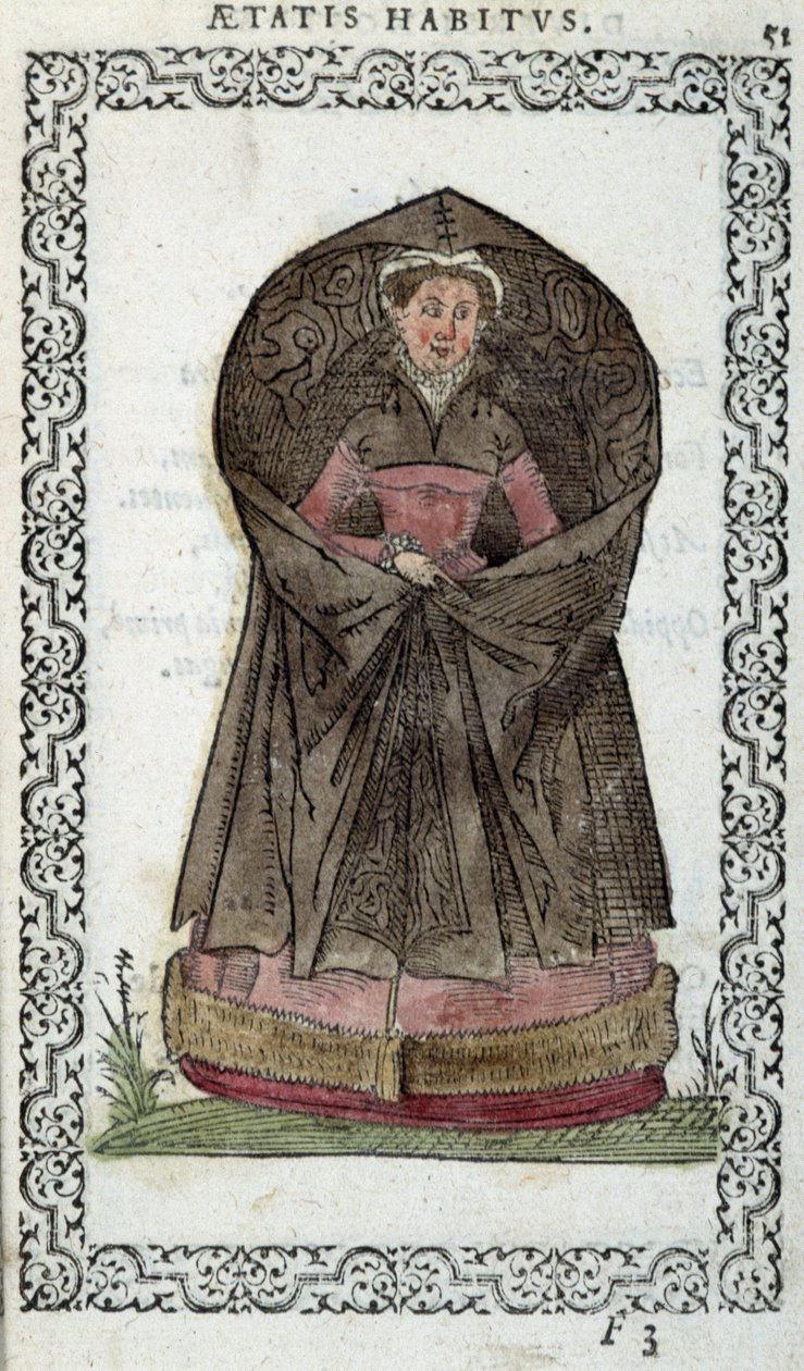 Flemish Demoiselle - in 