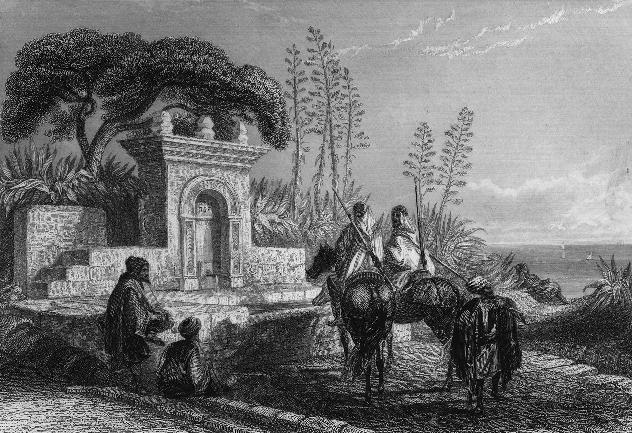 Fountain near Algiers by Unknown artist