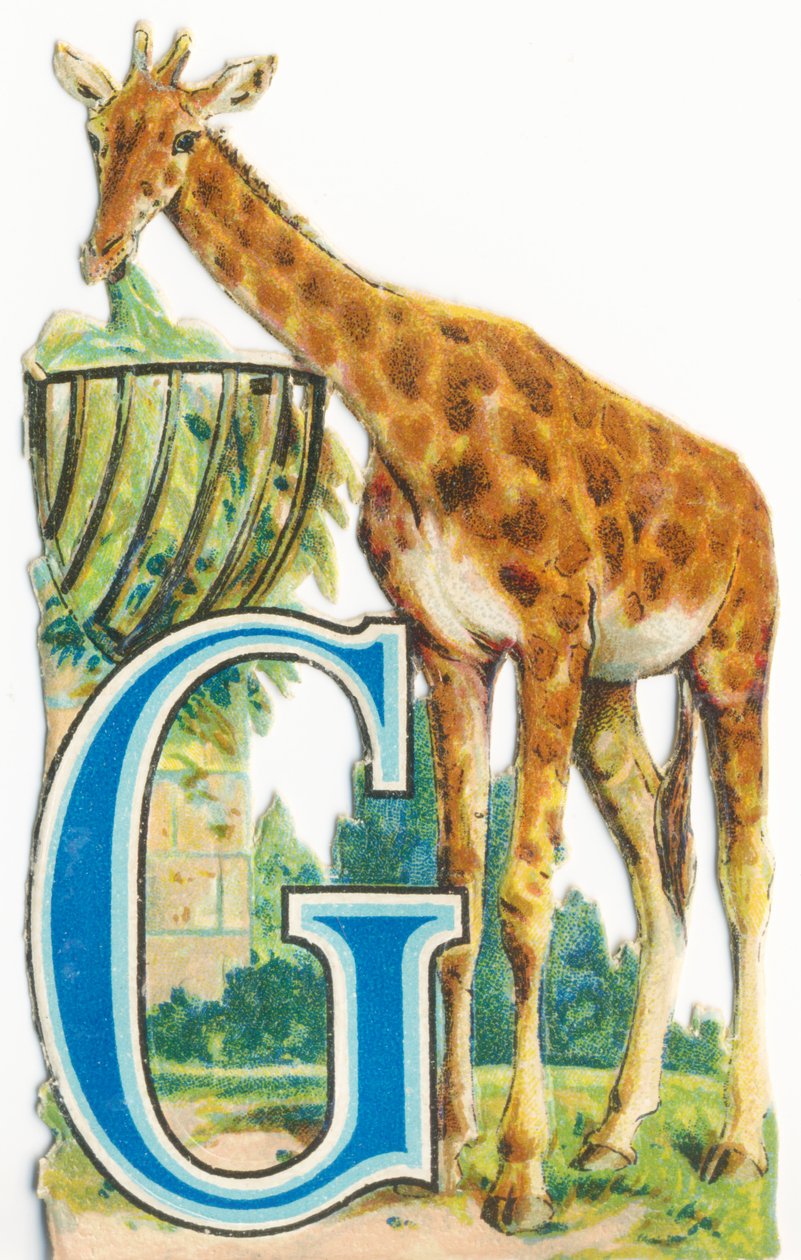 G: Giraffe by Unknown artist