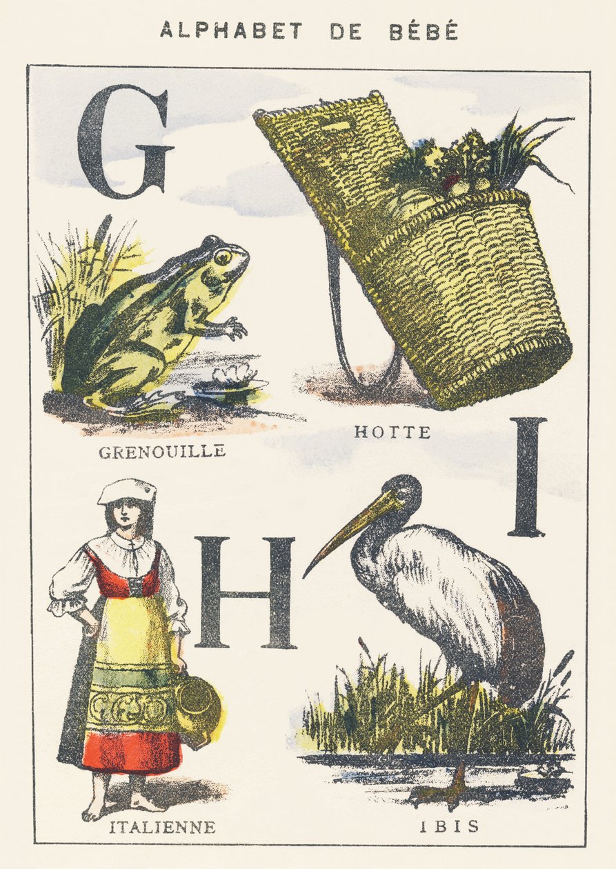 G H I: Frog, Hood, Italian, Ibis by Unknown artist