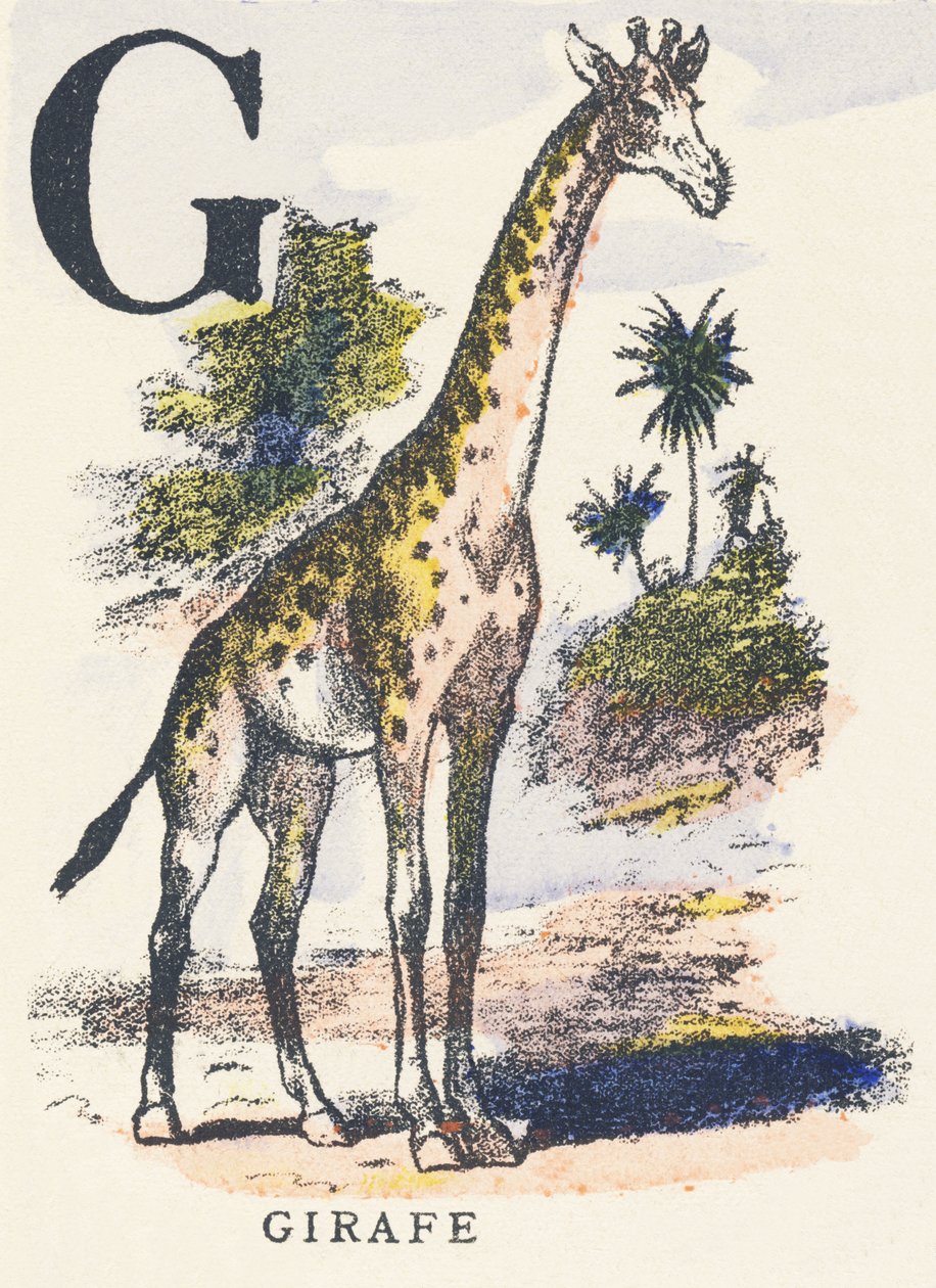 G: giraffe by Unknown artist