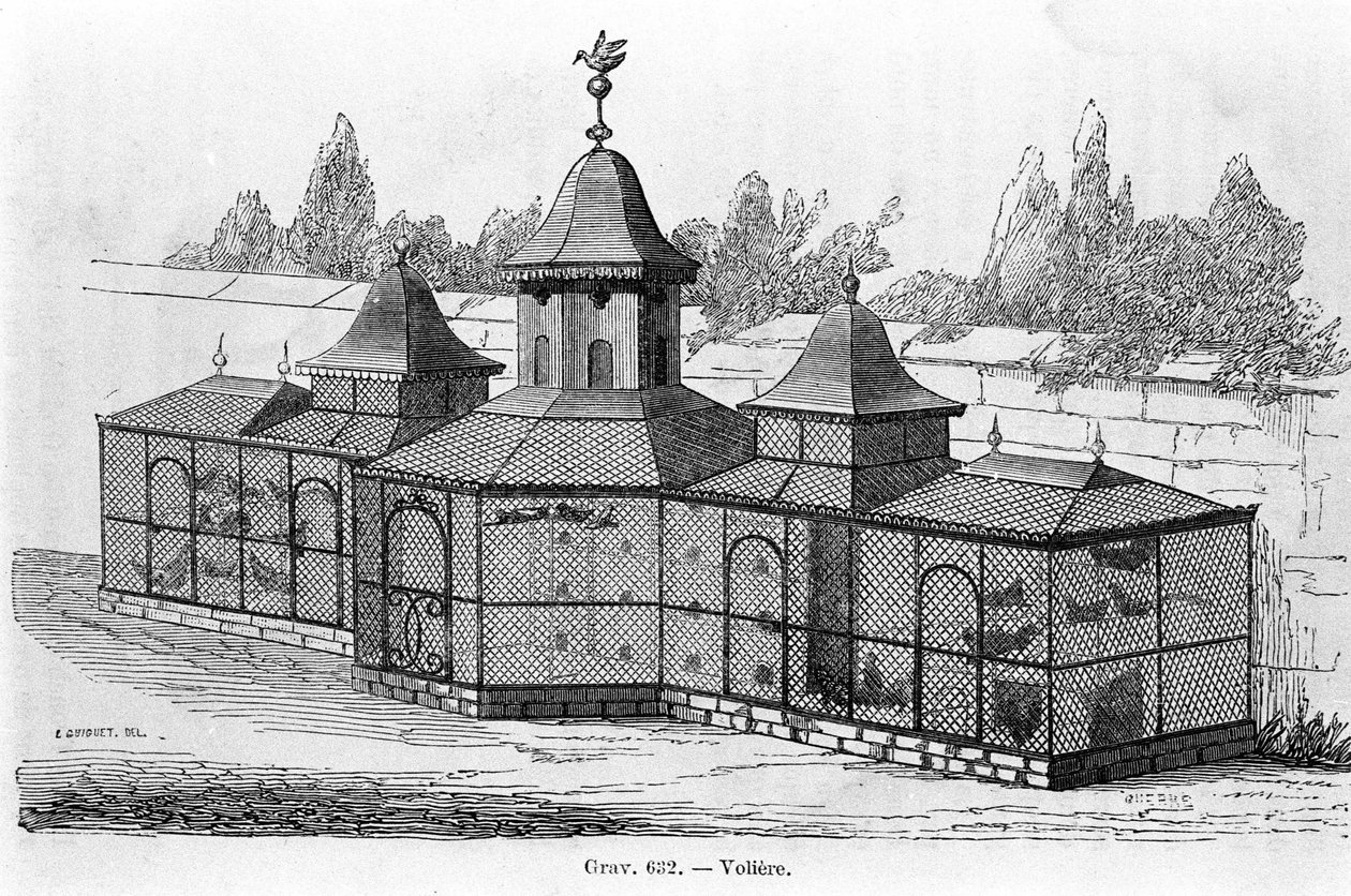 Garden Aviary. Engraving of the 19th Century by Unknown artist