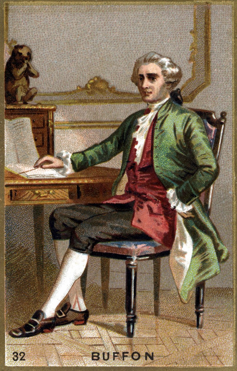 Georges Louis Leclerc, Count of Buffon by Unknown artist