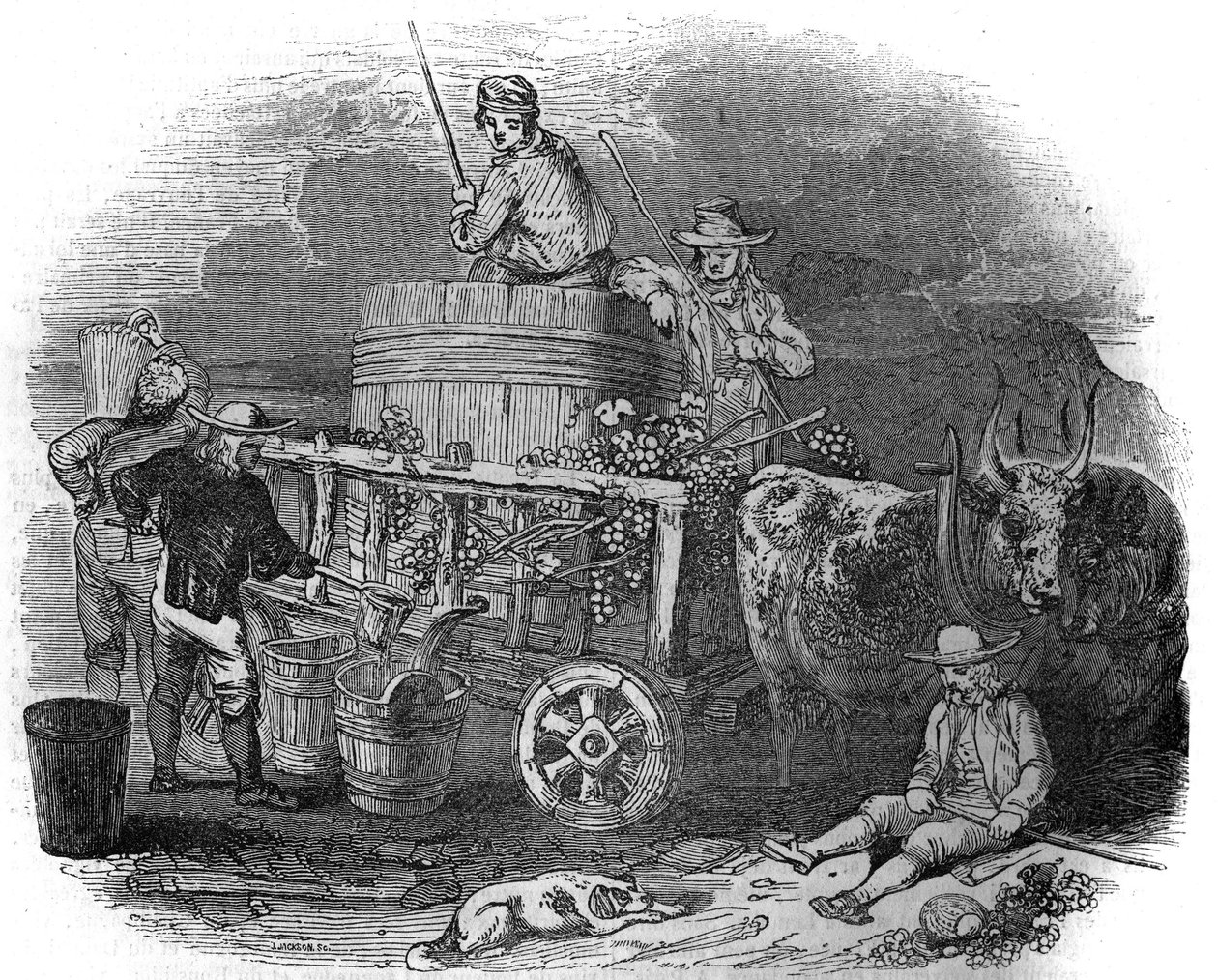 Harvester in Pola, Croatia in the 19th Century by Unknown artist