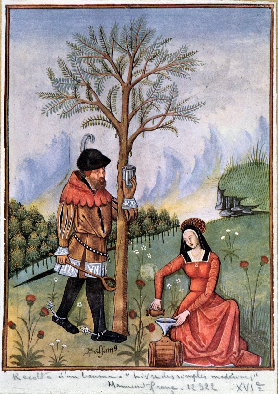 Harvesting a balm - Book of simple medicines by Unknown artist