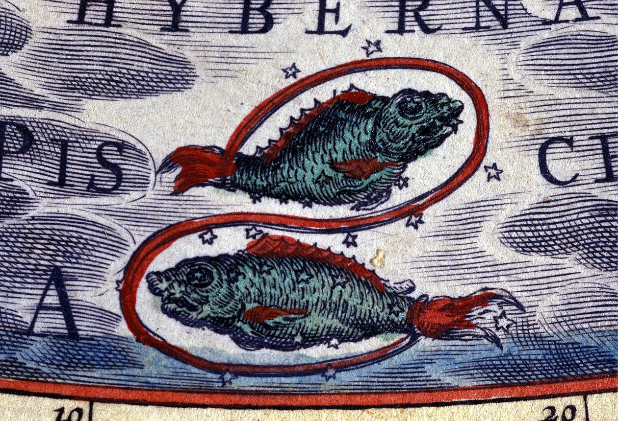 Horoscope: sign of the zodiac, Pisces. 16th century engraving. by Unknown artist