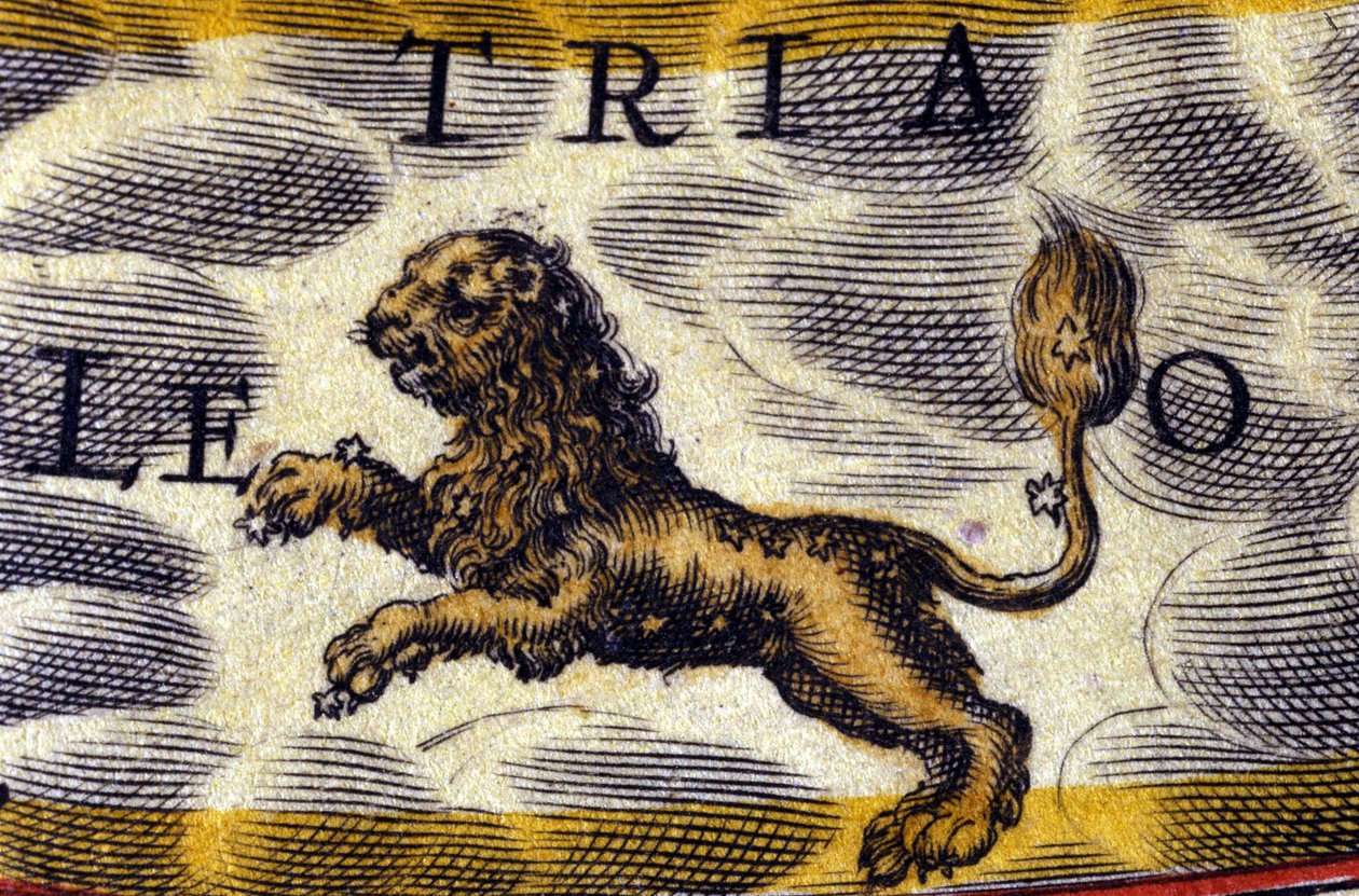 Horoscope: Sign of the Zodiac, the Lion by Unknown artist