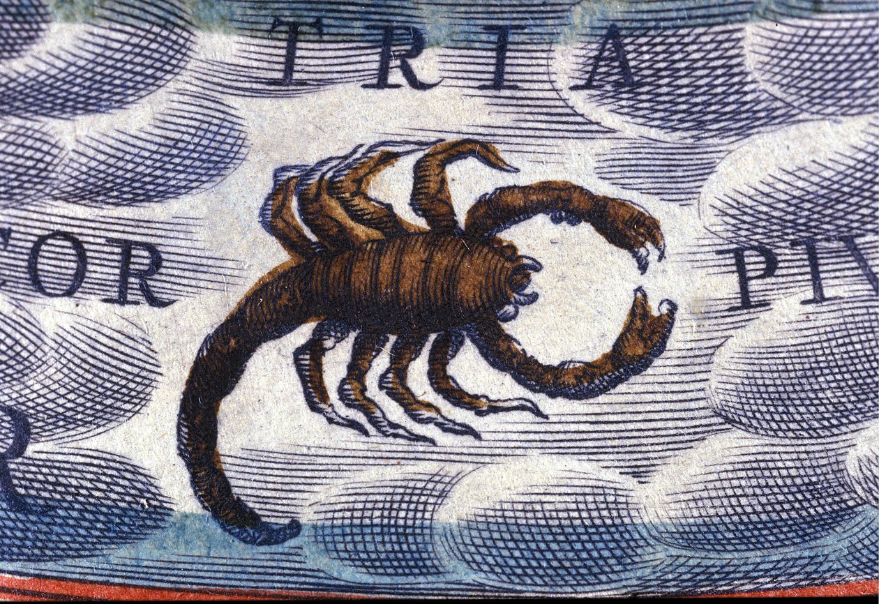 Horoscope: Sign of the Zodiac, the Scorpion by Unknown artist