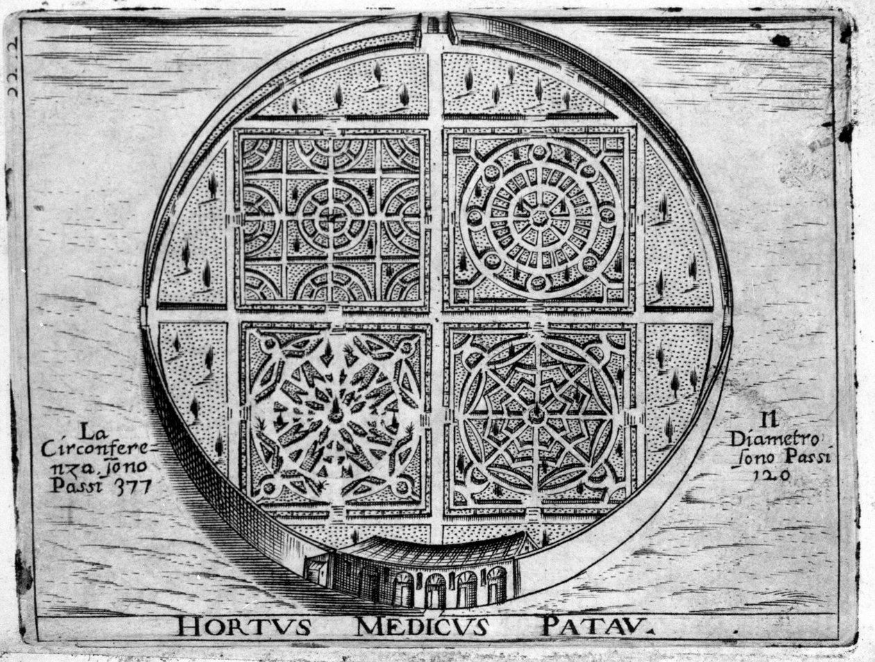 Medical Garden of Padua by Unknown artist