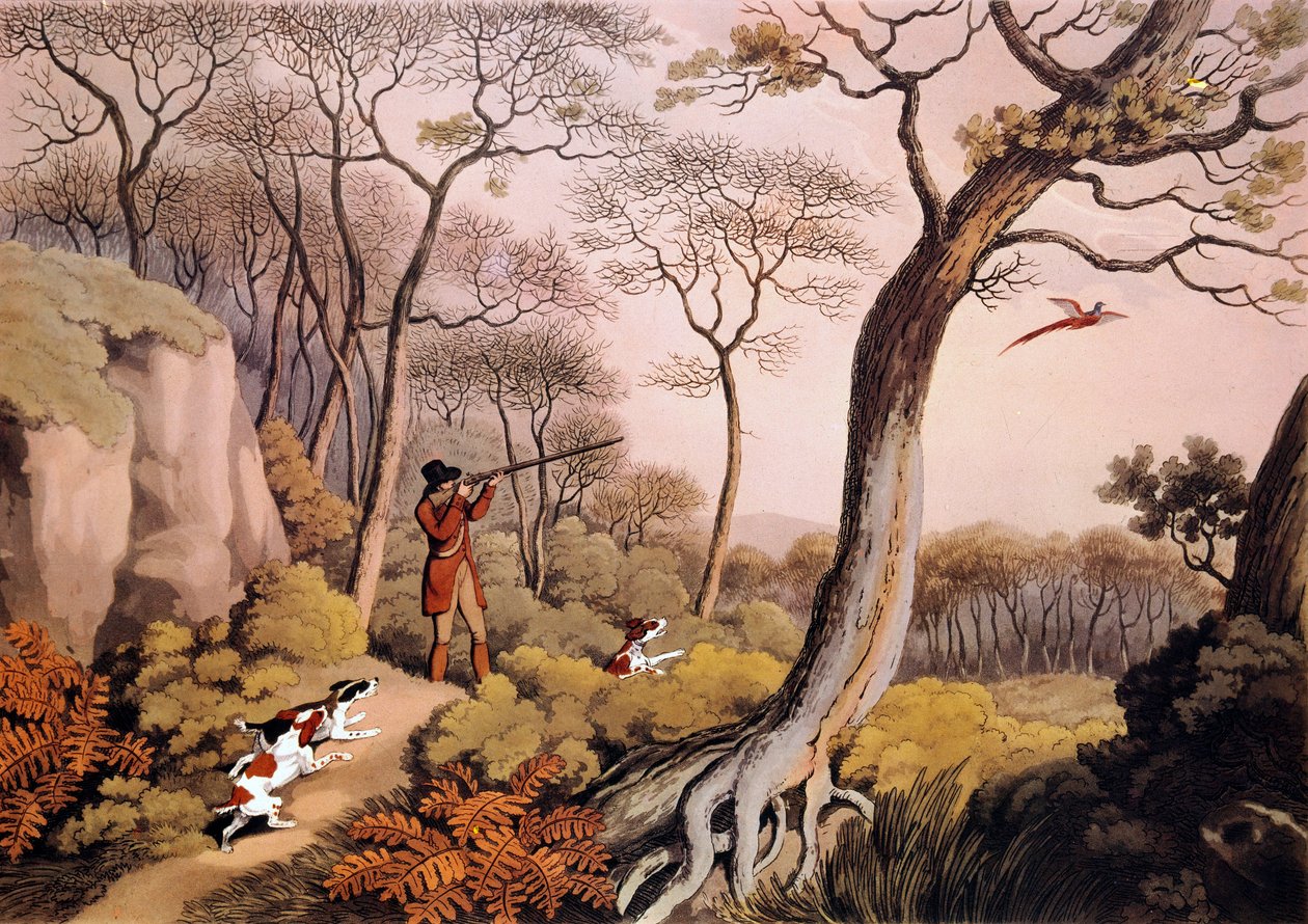Hunting of Pheasants in England by Unknown artist