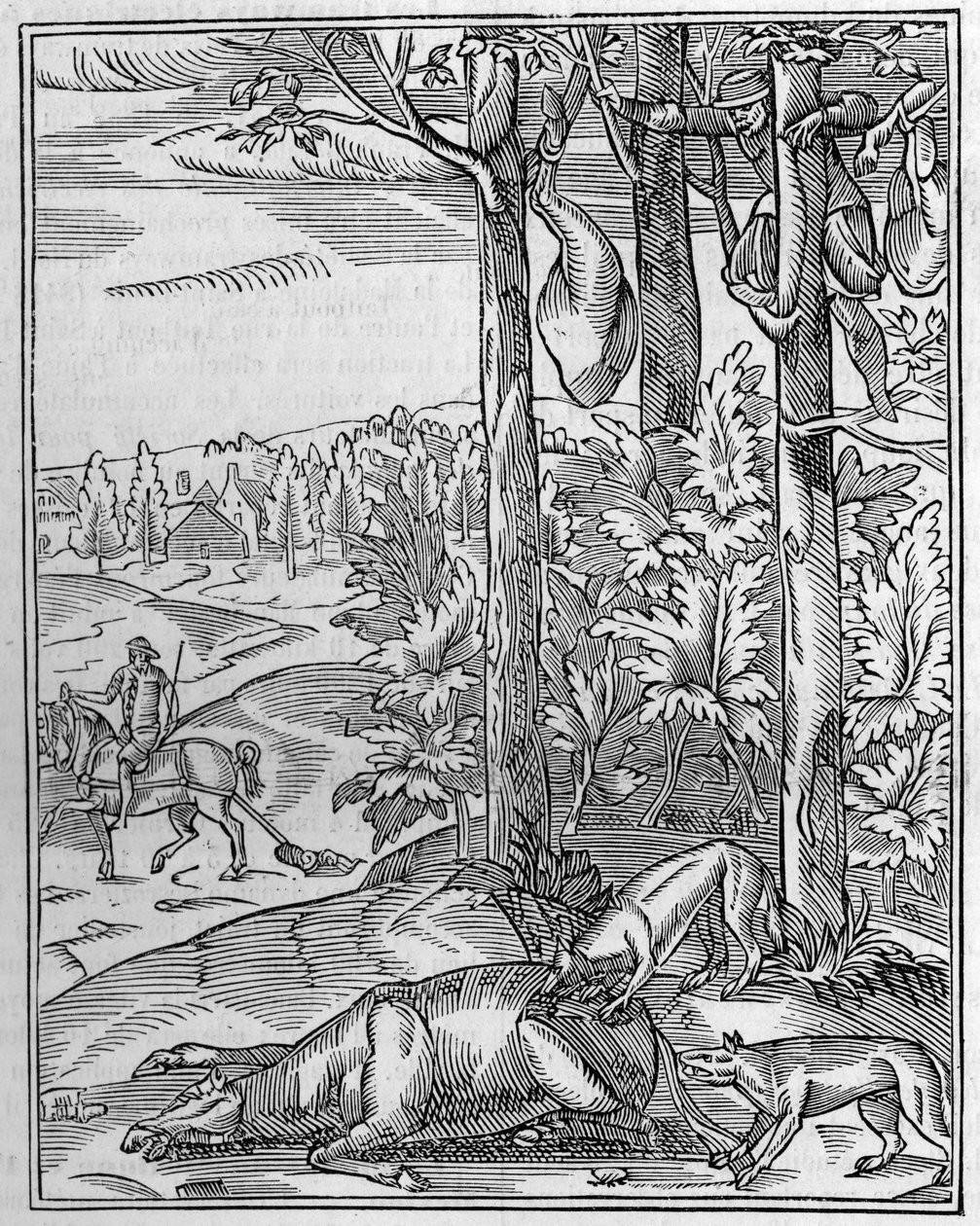 Hunting the wolf: the lookout. Facsimile of a 16th century wood engraving. Engraving in La Nature: revue des sciences et de leurs applications aux arts et a l
