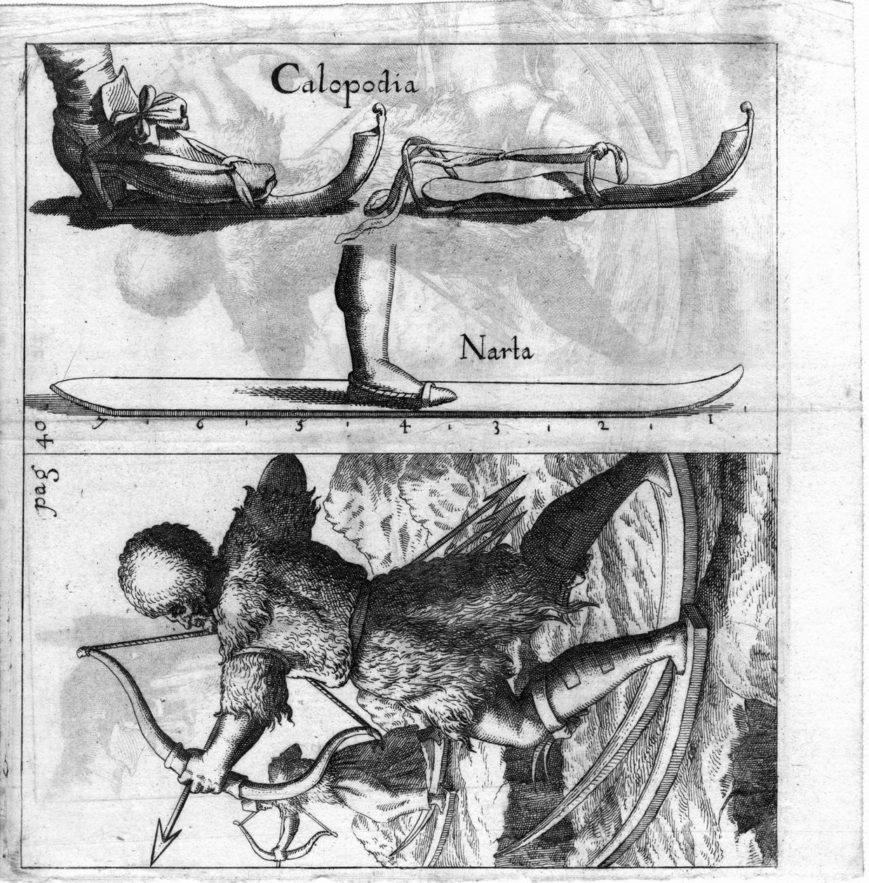 Illustrated board representing an old type of ski. Engraving from the end of the 17th century. by Unknown artist