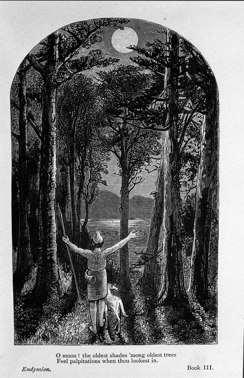 Illustration for 
