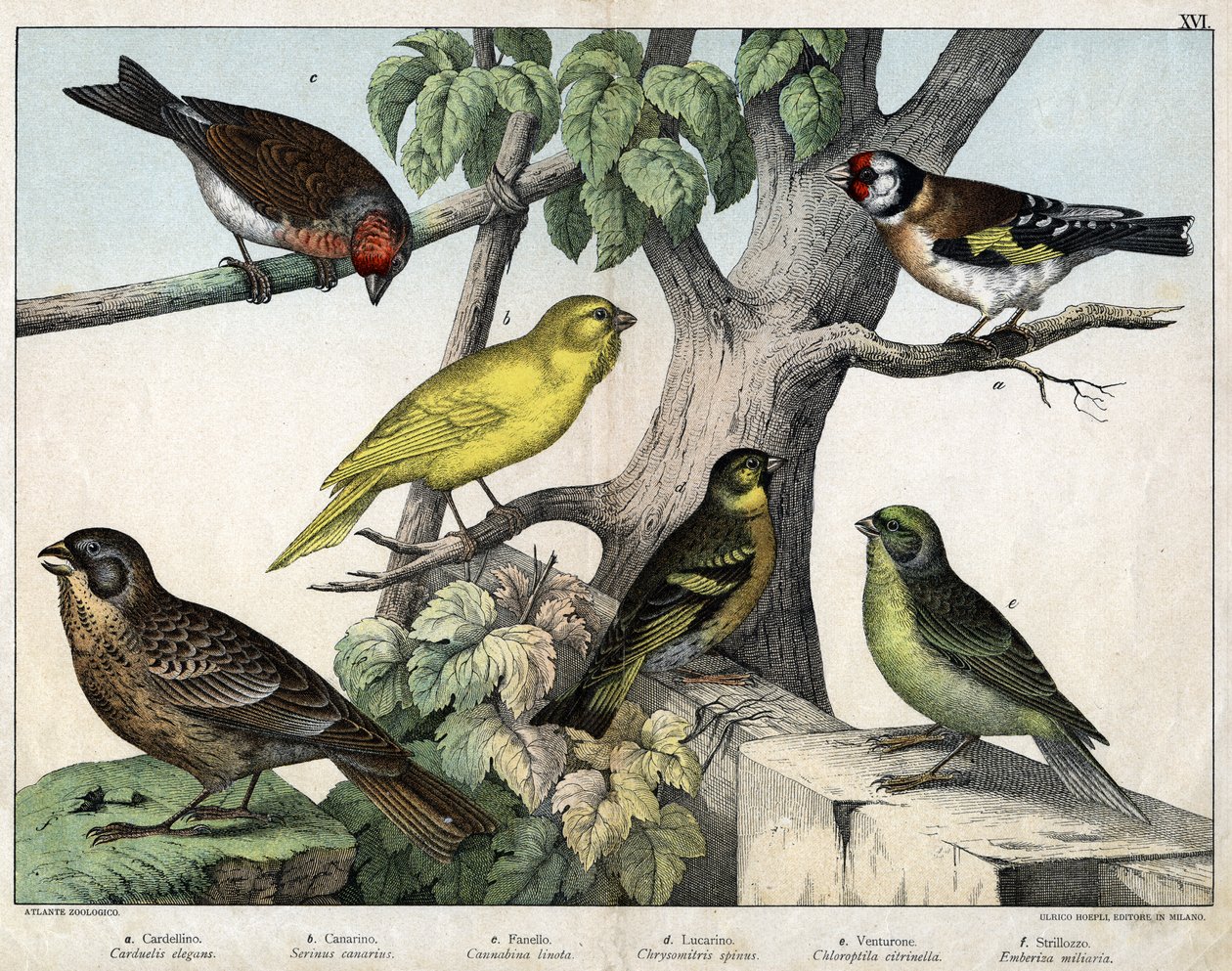 Illustration for 