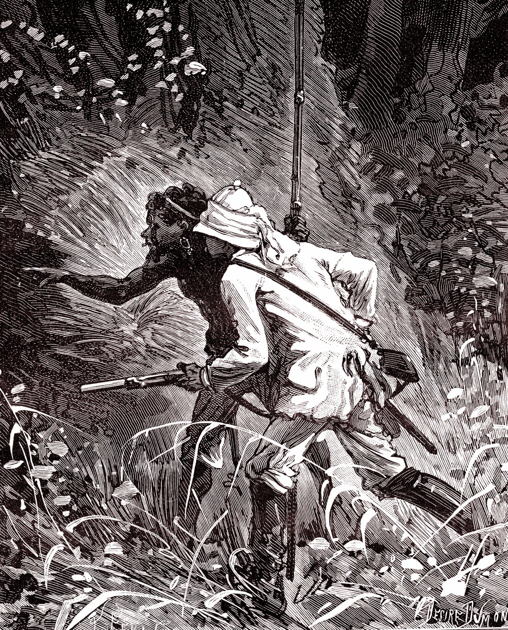 In the Rubber (Hevea) Fields in Guyana Jungle by Unknown artist