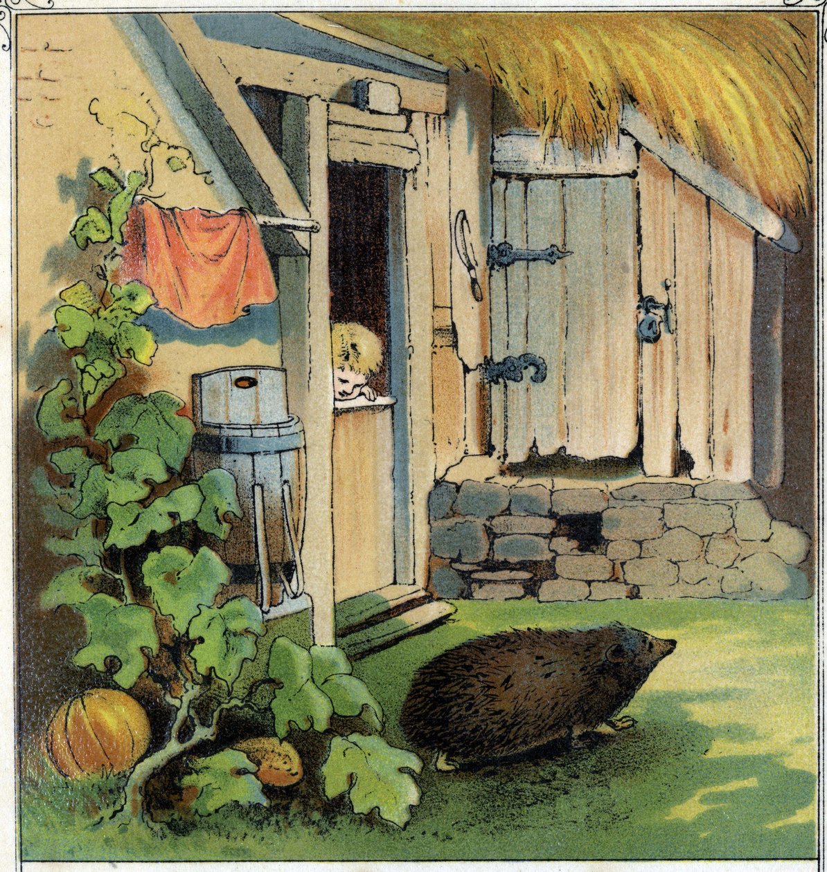 Jacques observes a hedgehog crossing the courtyard of his house. Chromolithography from 