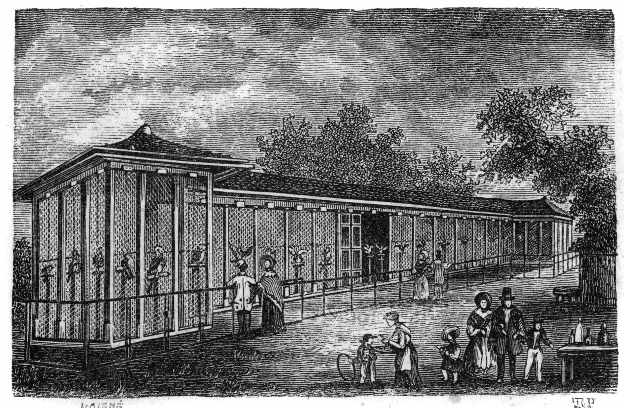 Jardin des Plantes in Paris in 1861: falconry by Unknown artist