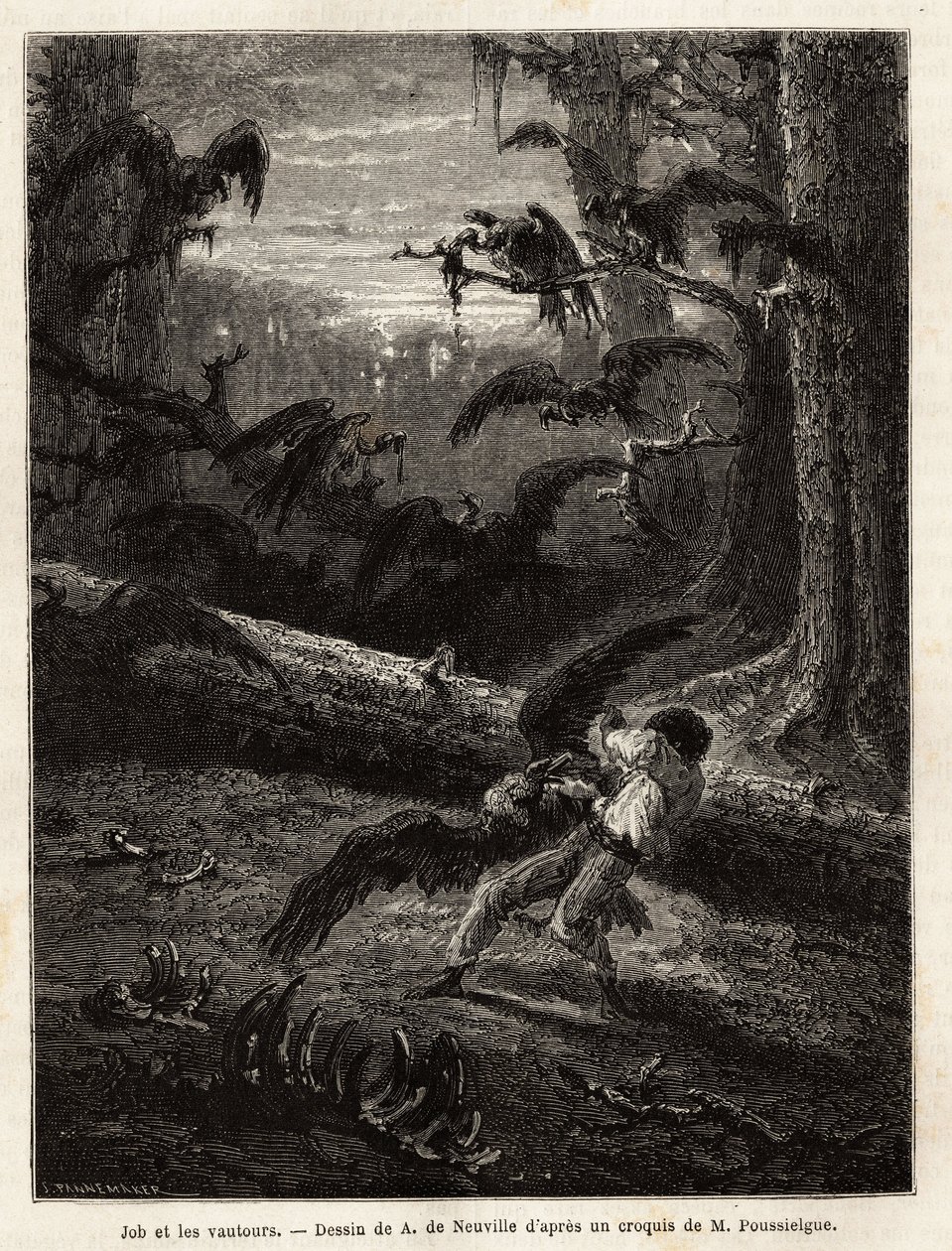 Job (travel companion of the redactor), attacked by vultures. Engraving to illustrate the story Quatre mois en Florida, by M. Pousselgue, in 1851-1852, published in 