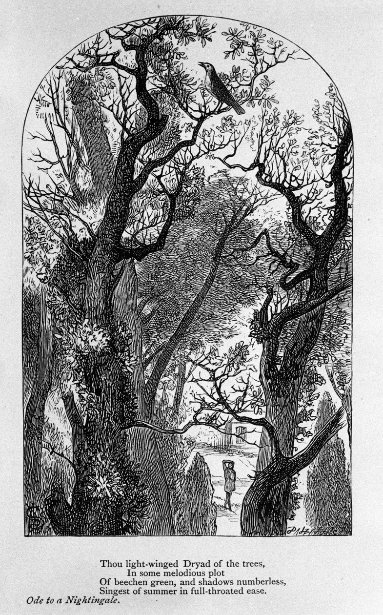 John Keats: Ode to a Nightingale by Unknown artist