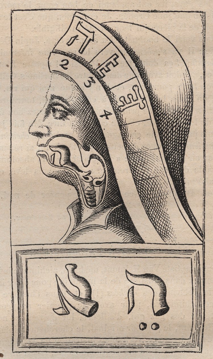 Kabbalah - Illustration from Alphabeti vere naturalis Hebraici brevissima delineatio (The Alphabet of Nature) by Franciscus Mercurius van Helmont by Unknown artist