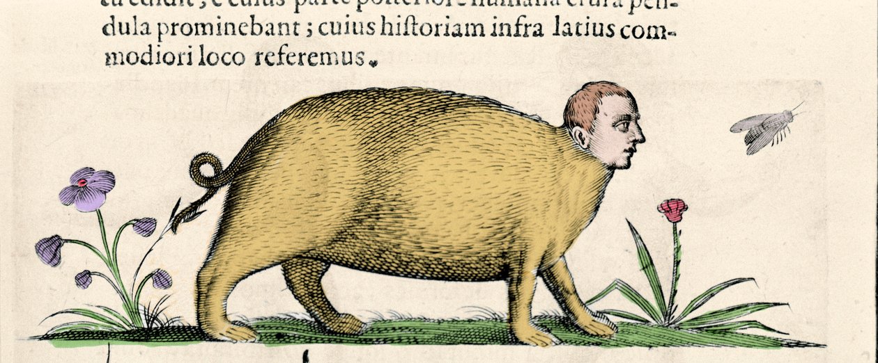 The Manticore - in 
