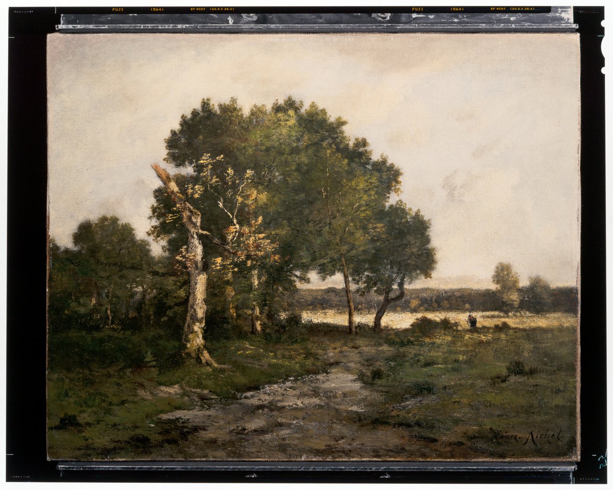 Landscape (c.19th century) by Unknown artist