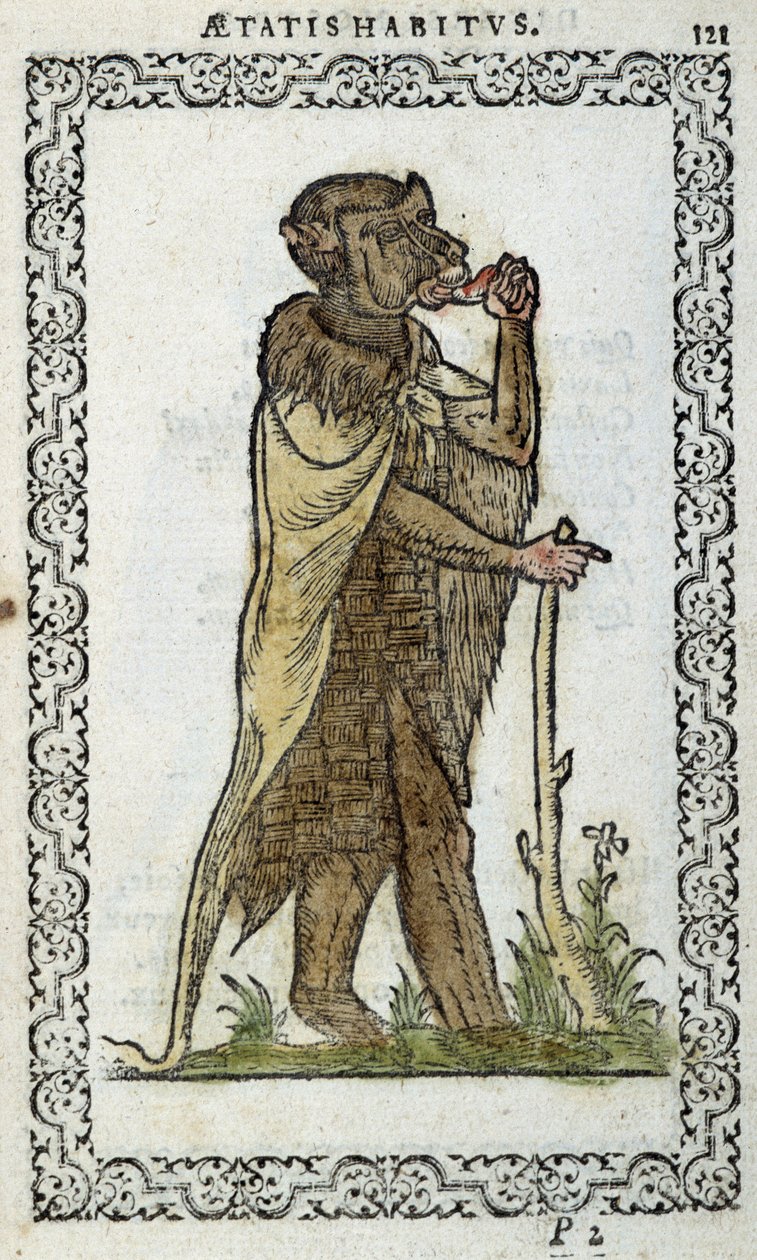 The Standing Monk - in 