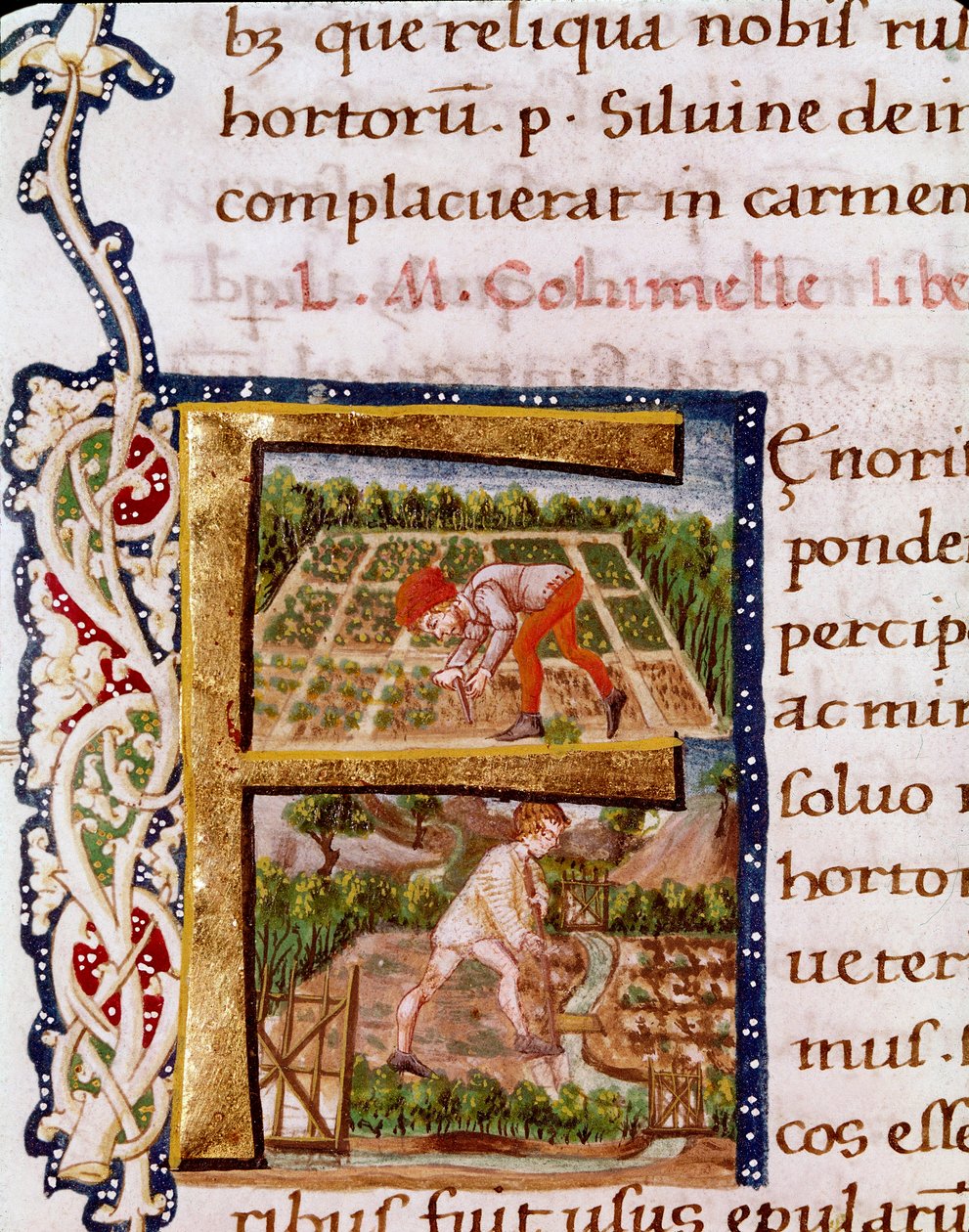 Lettrine F from the Chapter on Horticulture: Scenes of Beaching and Irrigation. Miniature Taken from 