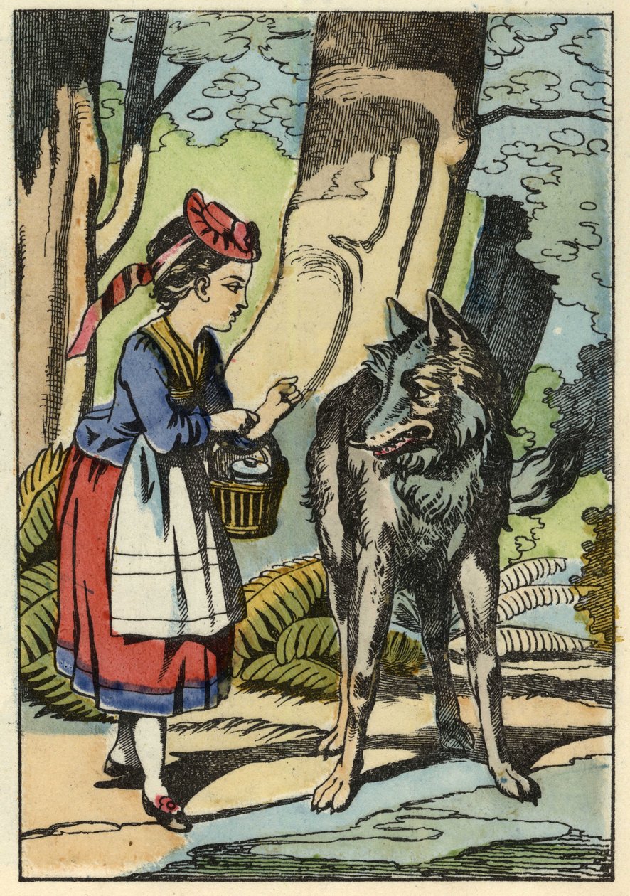 Little Red Riding Hood meets the wolf in the forest. Illustration of the tale 