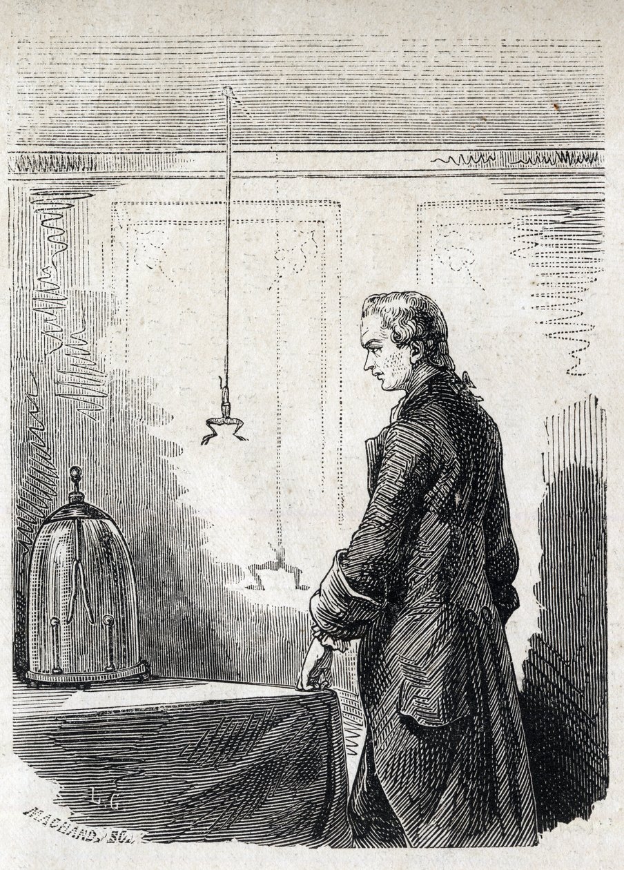 Luigi Galvani causes frog contractions by lightning rod electricity - LUIGI GALVANI (1737-1798) Italian physician and physicist. Causes contractions in a frog with electricity from a thundercloud by Unknown artist