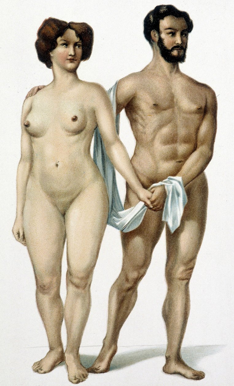 Man and woman - book of medicine, late 19th century by Unknown artist